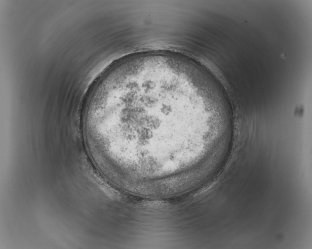 X0000111941023200908241135