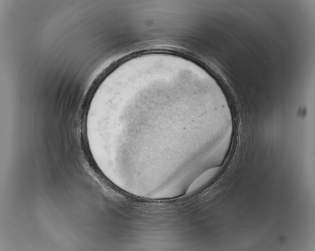 X0000111941024200908241135