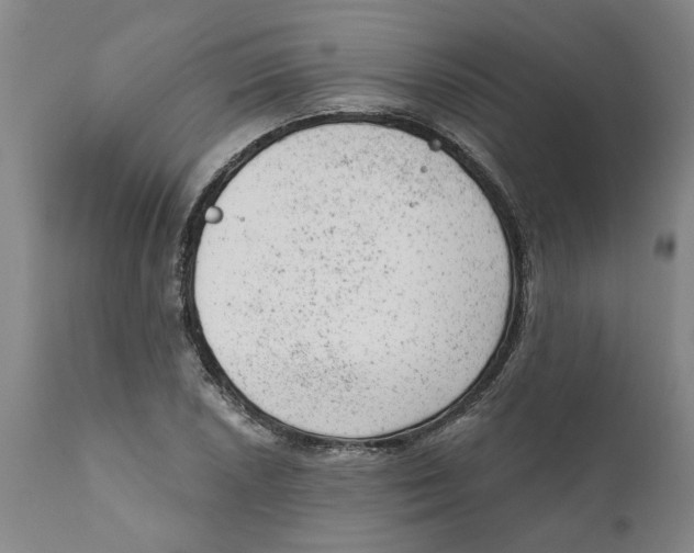 X0000111941026200908241135