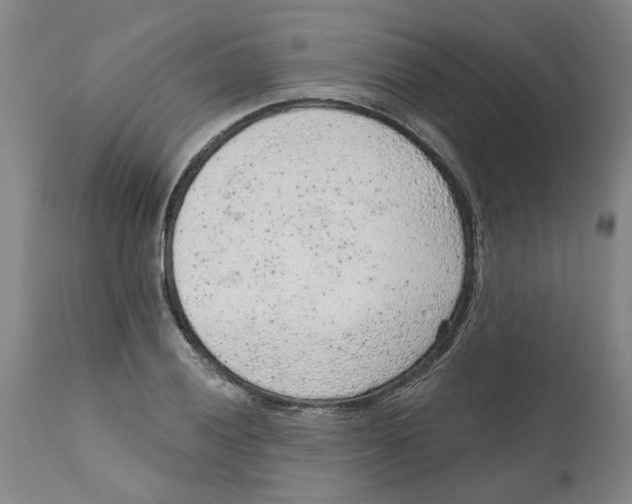 X0000111941028200908241135