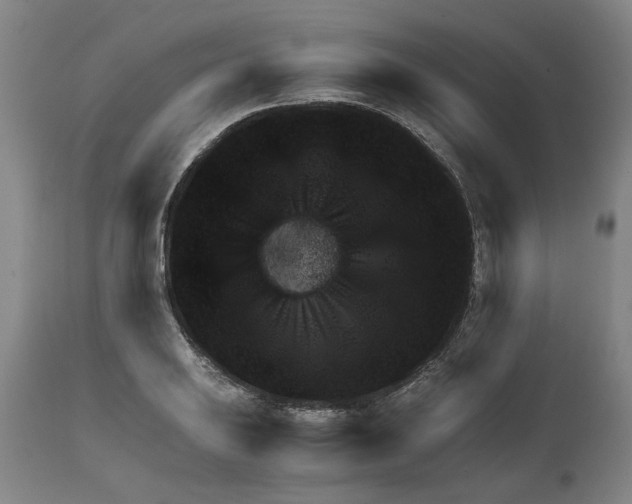 X0000111941031200908241135