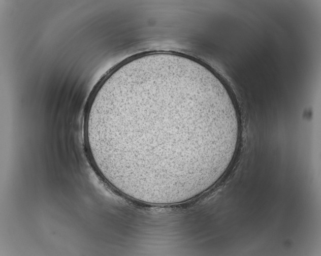 X0000111941032200908241135