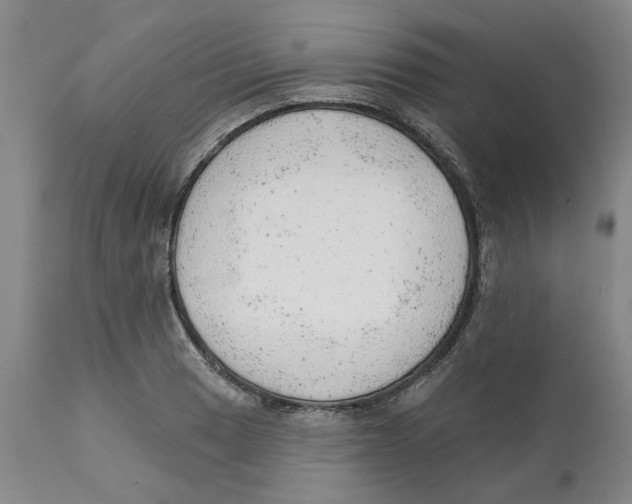 X0000111941033200908241135