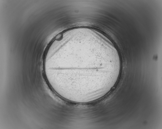 X0000111941034200908241135