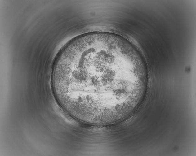 X0000111941035200908241135