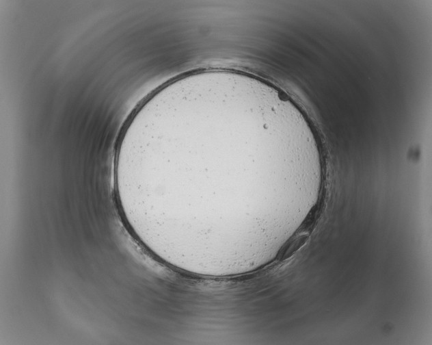 X0000111941036200908241135