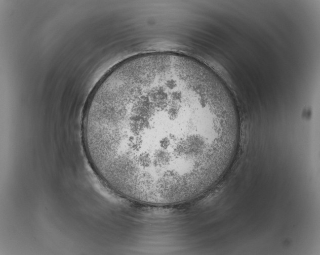 X0000111941039200908241135