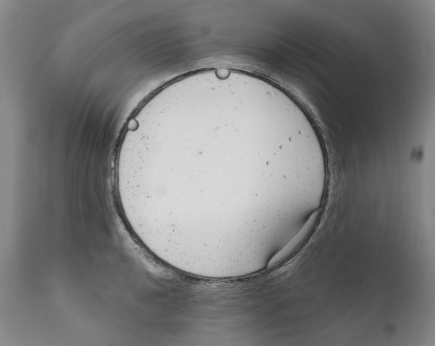 X0000111941040200908241135