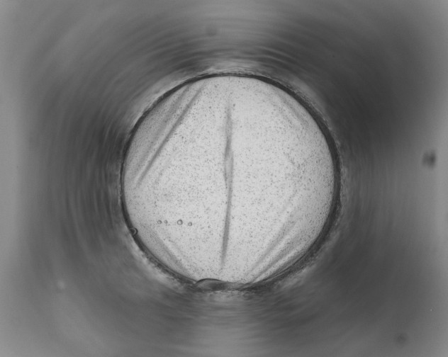 X0000111941041200908241135