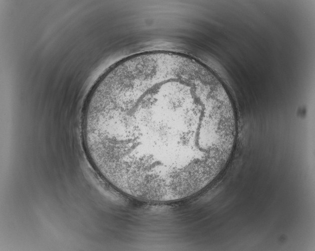 X0000111941043200908241135