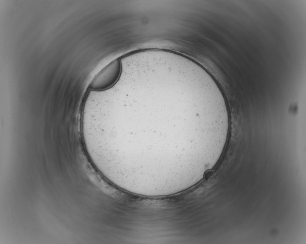 X0000111941044200908241135