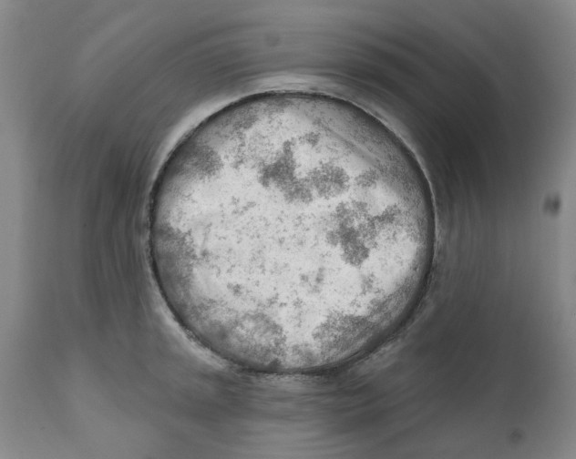 X0000111941045200908241136