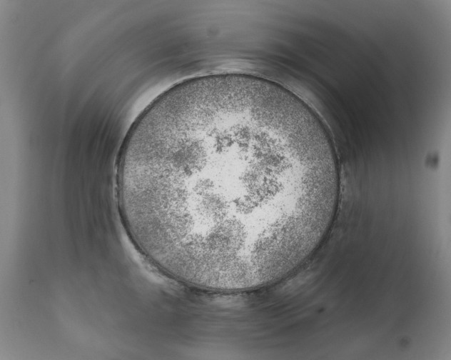 X0000111941047200908241136