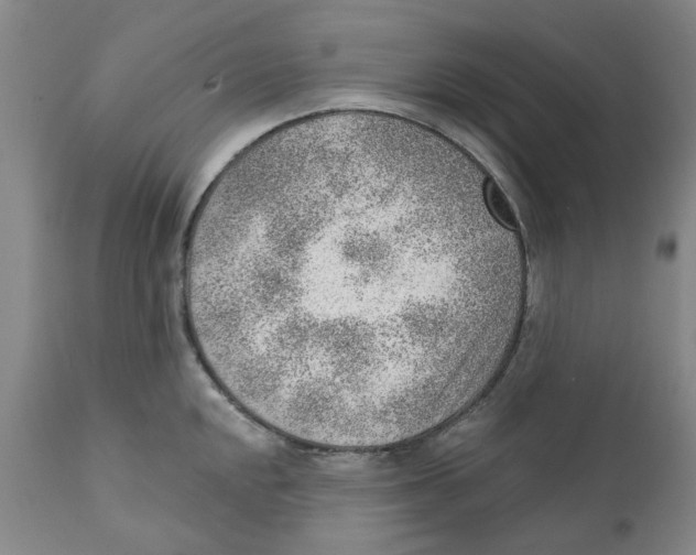 X0000111941048200908241136