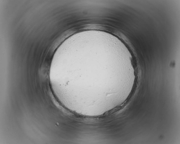 X0000111941049200908241136