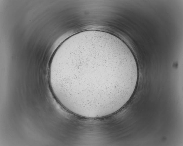 X0000111941050200908241136