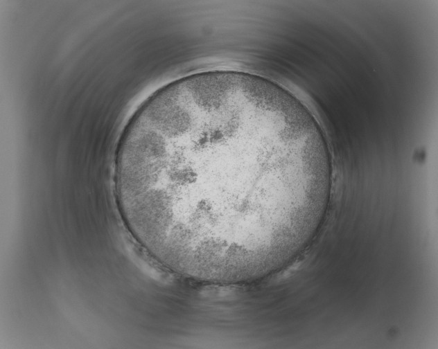 X0000111941051200908241136