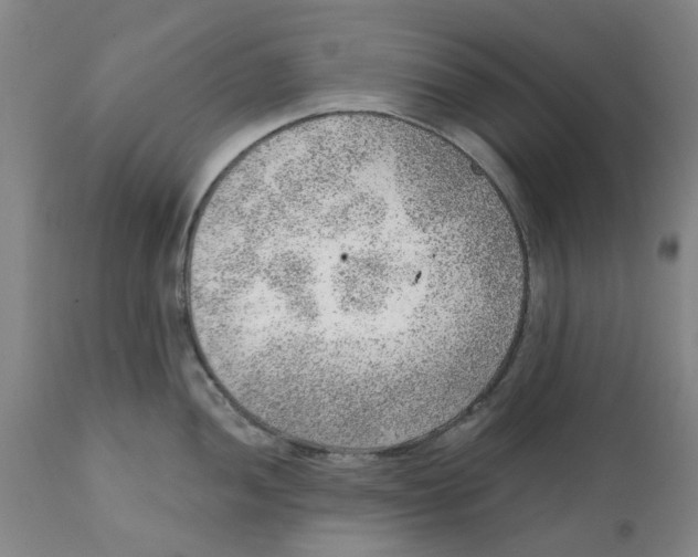 X0000111941052200908241136