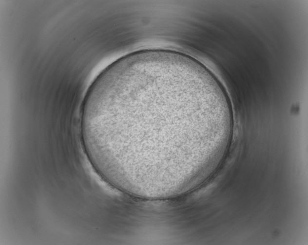 X0000111941053200908241136