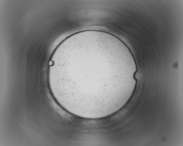 X0000111941054200908241136