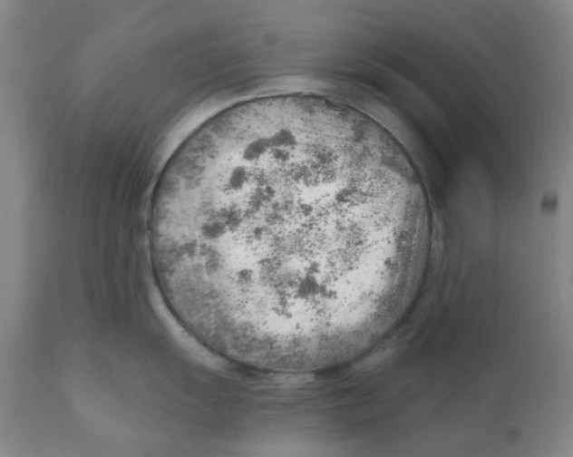 X0000111941055200908241136