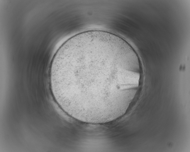 X0000111941056200908241136