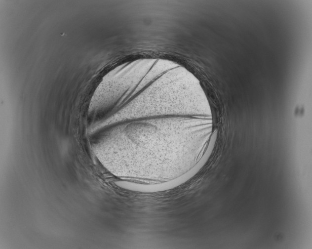 X0000111941057200908241135