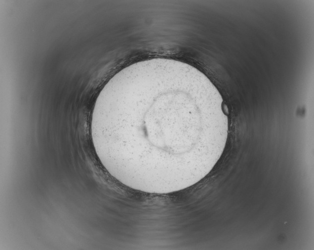 X0000111941058200908241135