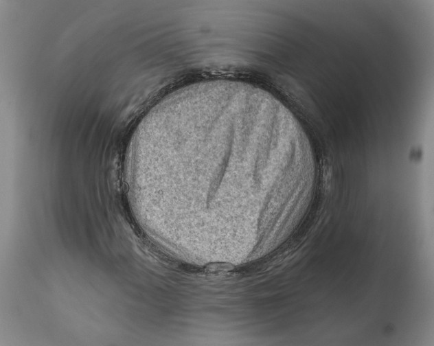 X0000111941060200908241135