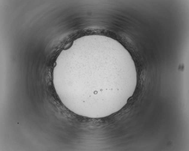 X0000111941062200908241135