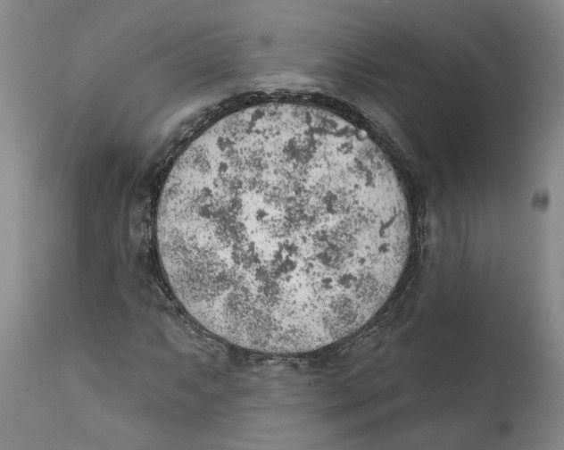 X0000111941063200908241135