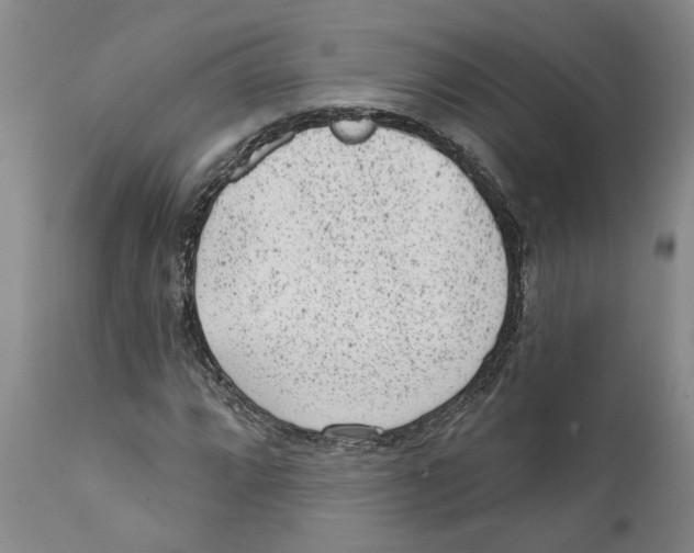 X0000111941064200908241135