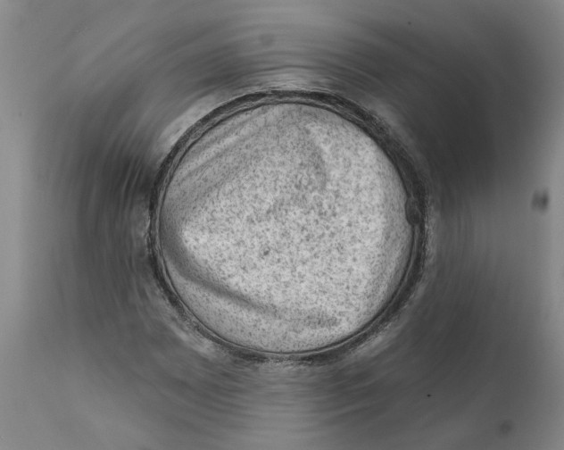 X0000111941065200908241135