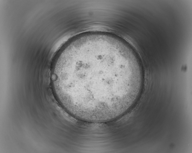 X0000111941067200908241135