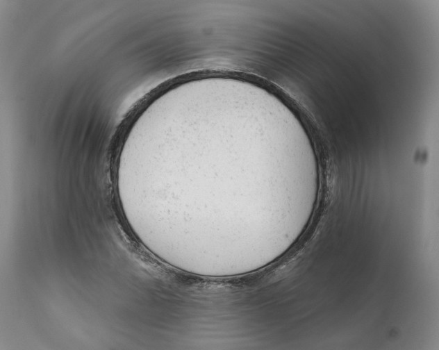 X0000111941070200908241134