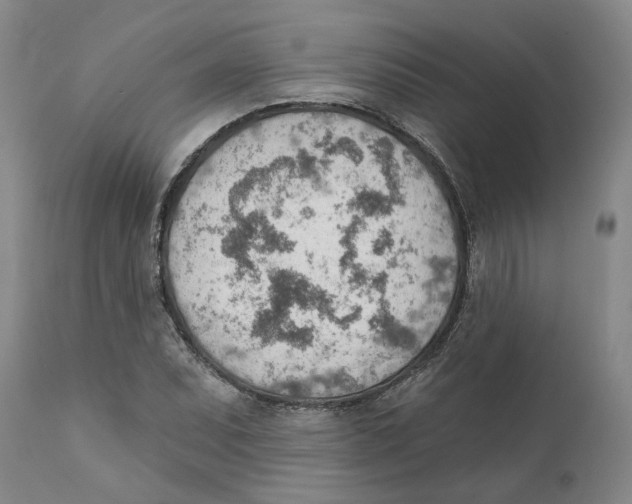 X0000111941071200908241134