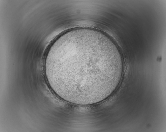 X0000111941074200908241134