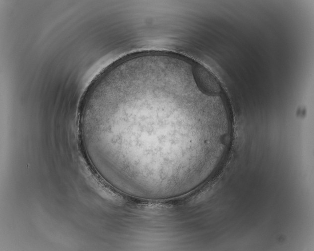 X0000111941077200908241134