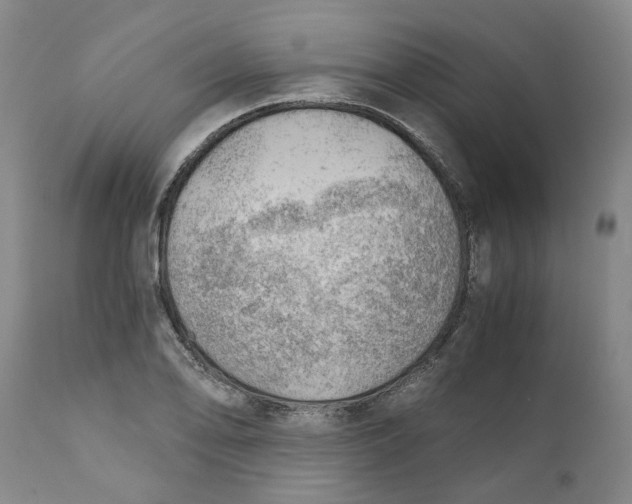 X0000111941078200908241134