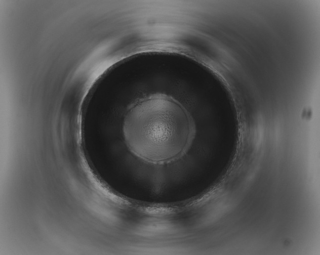 X0000111941079200908241134