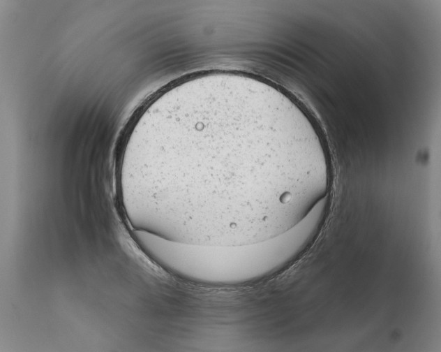 X0000111941080200908241134