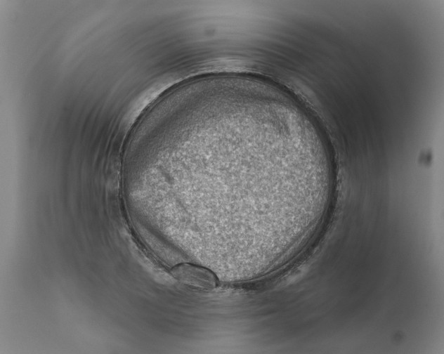 X0000111941081200908241134