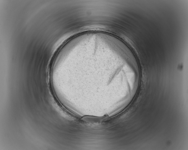 X0000111941082200908241134