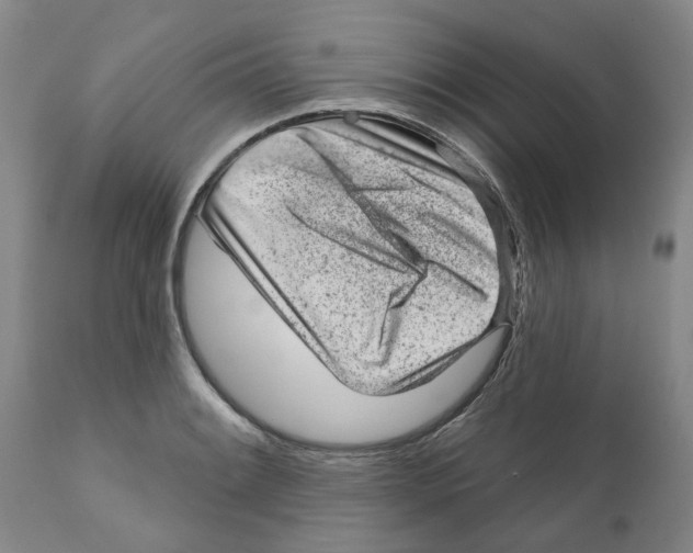 X0000111941084200908241134