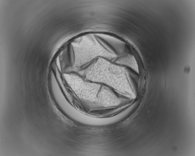 X0000111941085200908241134