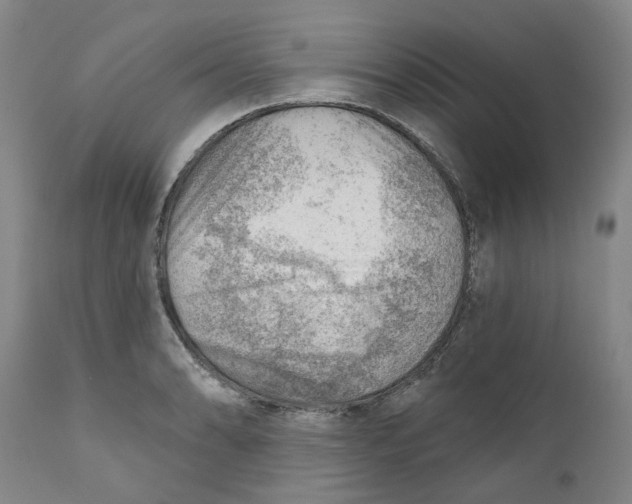 X0000111941086200908241134