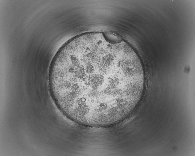 X0000111941087200908241134