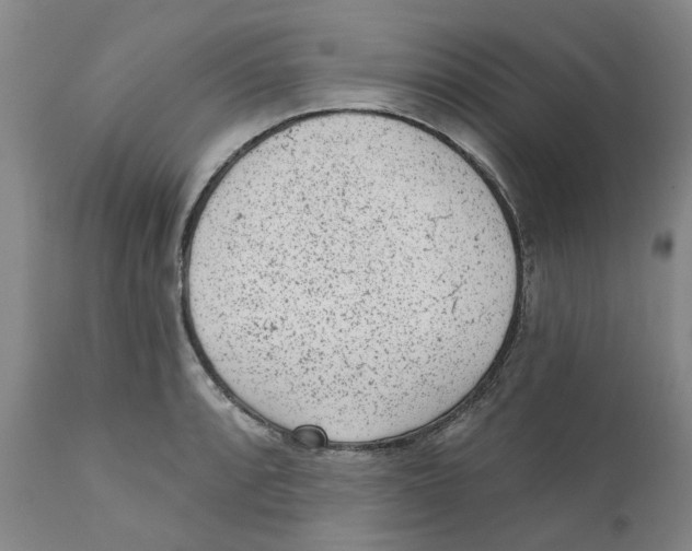 X0000111941088200908241134