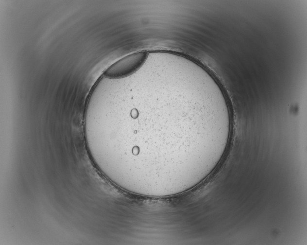 X0000111941089200908241134