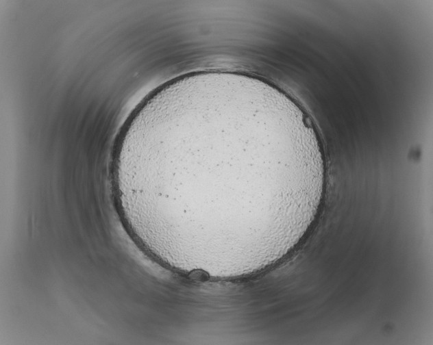 X0000111941091200908241134